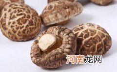 新鲜冬菇是什么样的
