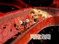 胆固醇偏高对身体有什么影响