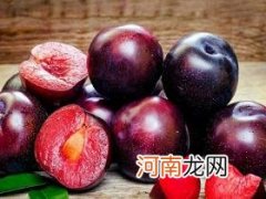 女生李子吃多了有什么好处和坏处？吃多了容易导致蛀牙！