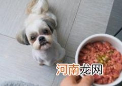 小狗吃益生菌一餐多少