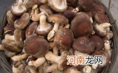 吃冬菇要注意什么