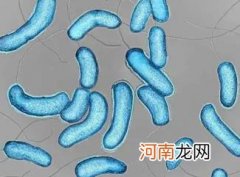 现在为什么没有霍乱了,因为医学和卫生水平提高了