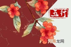 2023属于五行属什么 出生的人五行属什么命
