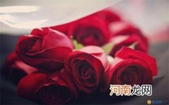 情人节有什么美好的寓意呢