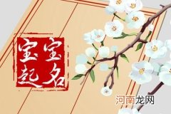 兔年9月6日七月廿二出生男生生辰八字 缺土宝宝名字