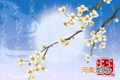 癸卯年9月8日白露出生男孩什么命 博学多才的名字