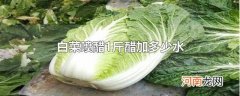 白菜喷醋1斤醋加多少水