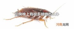 厨房晚上有很多蟑螂怎么办