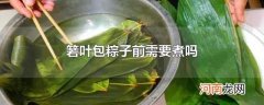箬叶包粽子前需要煮吗