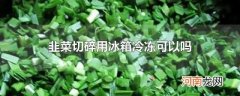 韭菜切碎用冰箱冷冻可以吗