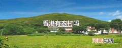 香港有农村吗