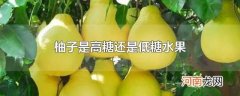 柚子是高糖还是低糖水果