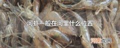 河虾一般在河里什么位置