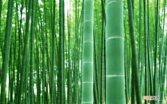 去黄提亮肤色的精华有哪些 脸部去黄去暗沉提亮肤色