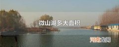 微山湖多大面积