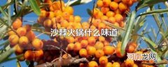 沙棘火锅什么味道