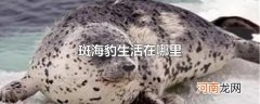斑海豹生活在哪里