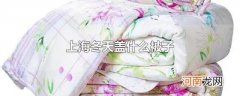 上海冬天盖什么被子