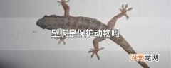 壁虎是保护动物吗