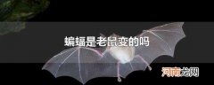 蝙蝠是老鼠变的吗