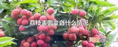 荔枝表面变白什么情况