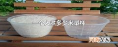 一个人煮多少米量杯