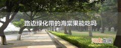 路边绿化带的海棠果能吃吗