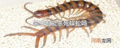 杀虫剂能杀死蜈蚣吗