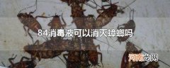 84消毒液可以消灭蟑螂吗