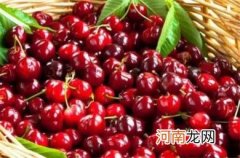 吃樱桃上火吗