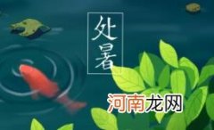 处暑结婚好不好2022