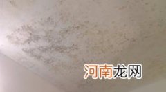 天花板发霉直接刮一遍腻子粉可以吗