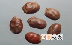 荔枝核吞下去了怎么办