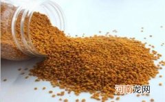 蜂花粉怎么做酒