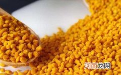 蜂花粉怎么挑选