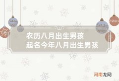 农历八月出生男孩子起名 今年八月出生男孩子取名
