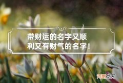 带财运的名字 又顺利又有财气的名字！