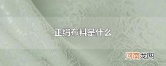 正绢布料是什么