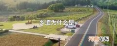 乡道为什么是y