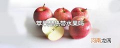 苹果是热带水果吗