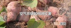空气炸锅如何烤红薯
