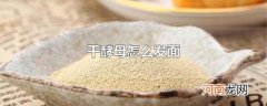干酵母怎么发面