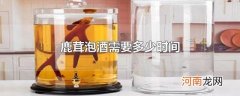 鹿茸泡酒需要多少时间