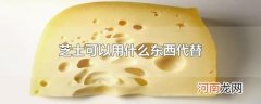芝士可以用什么东西代替