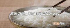 煮米饭水和米的比例具体怎么放