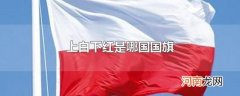 上白下红是哪国国旗
