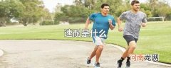 速耐是什么