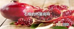 石榴的热量高吗