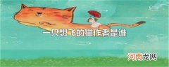 一只想飞的猫作者是谁