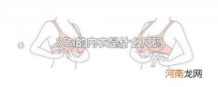 85a的内衣是什么尺码